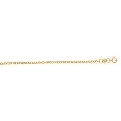 14K Yellow Gold 1.9mm Lite Rolo 20 Chain with Spring Ring Clasp